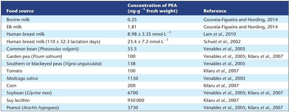 Palmitoylethanolamide Food Sources