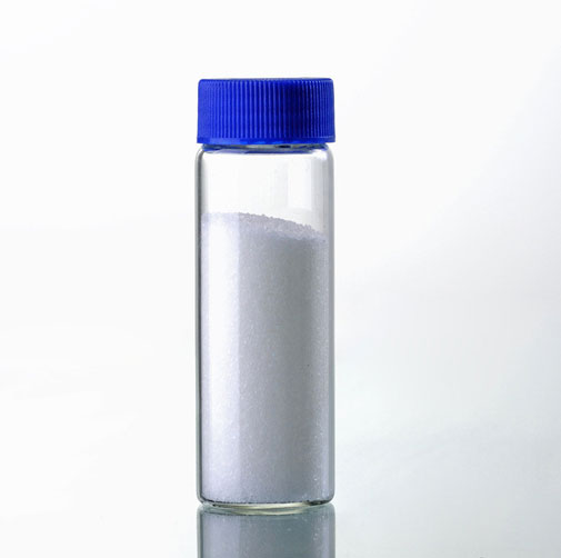 Acetyl L Carnitina