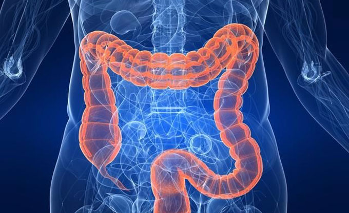 Glutamine for gut health