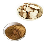 Angelica Extract 
