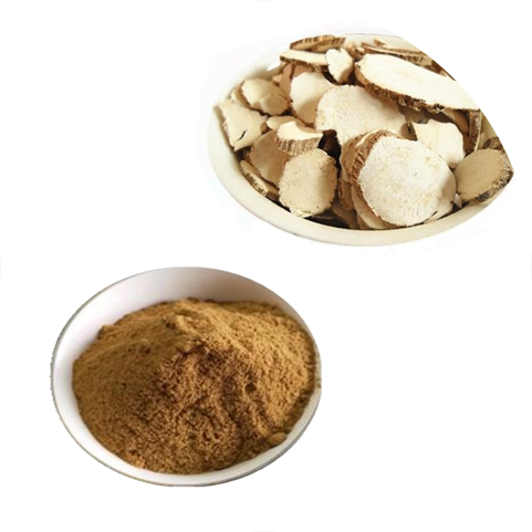 Functions of Angelica Extract