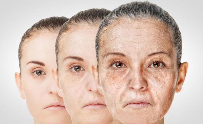 Raw materials for moisturizing and repairing skin barrier function