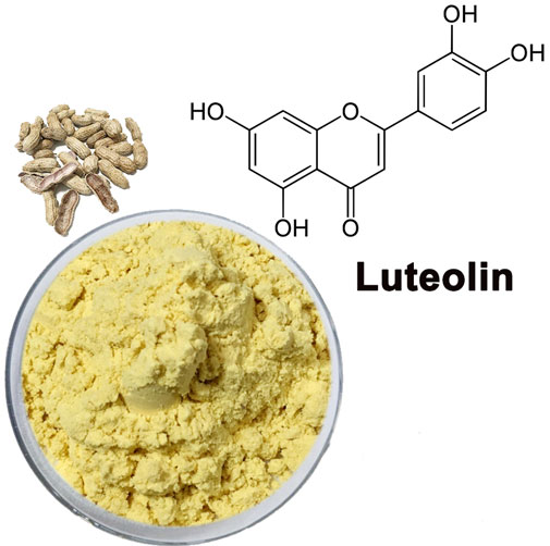 Apigenin and Luteolin