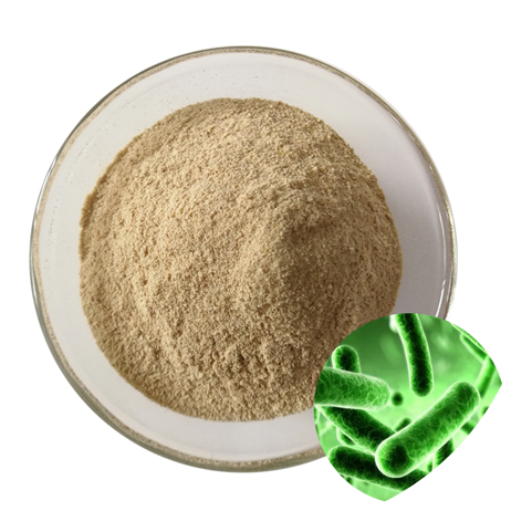 Functions of Bacillus Coagulans