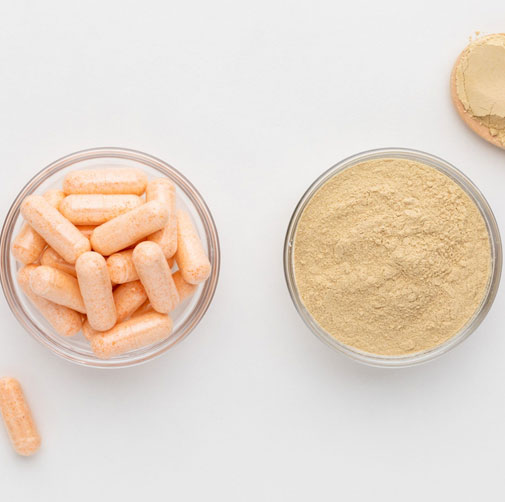 Bacillus Coagulans Supplement