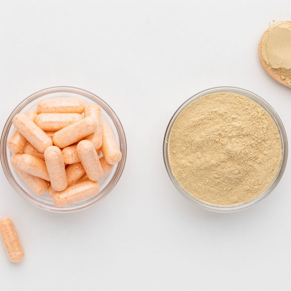 Bacillus Coagulans 
