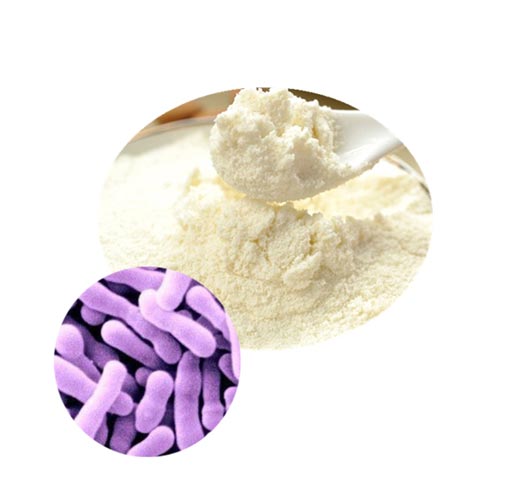 Bifidobacterium Lactis