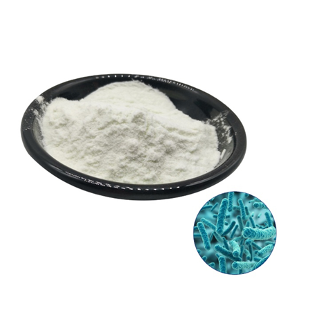 Functions of Lactobacillus Acidophilus