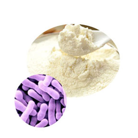 Bifidobacterium Lactis 