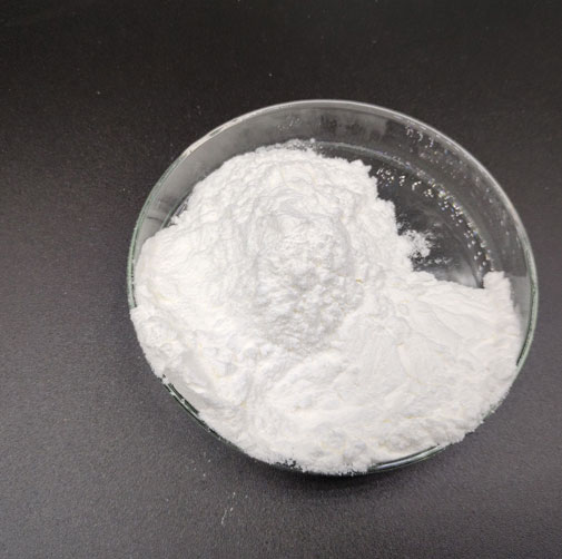 L Carnosine Powder