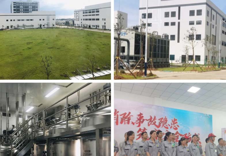 Factory Area of Gihi Chemicals