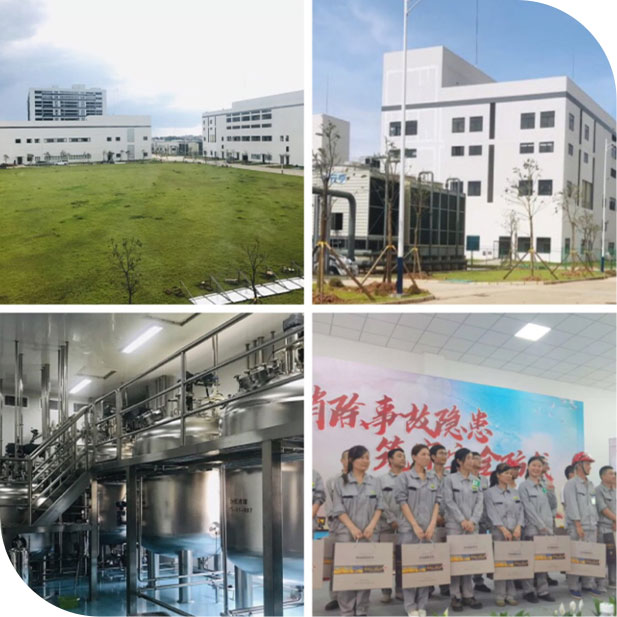 Gihi Chemicals Company Profile