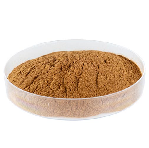 cistanche tubulosa organic extract 1