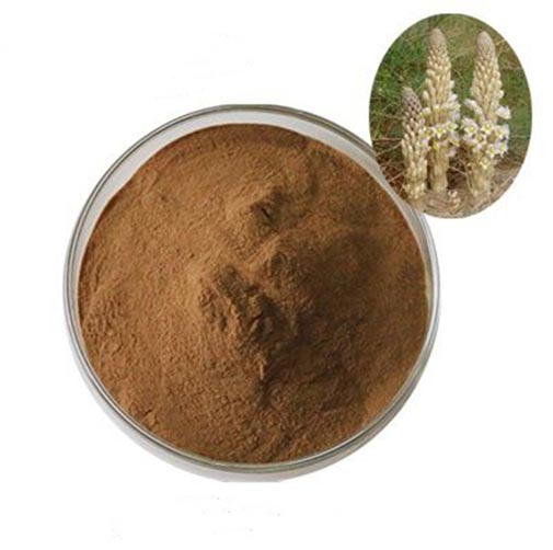 cistanche tubulosa organic extract 2