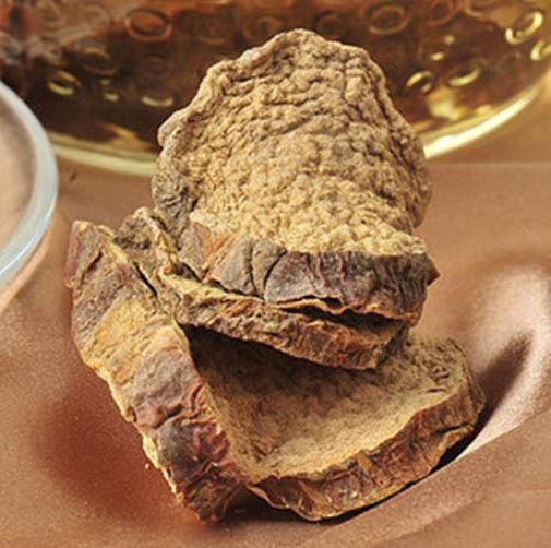 cistanche tubulosa organic extract 4