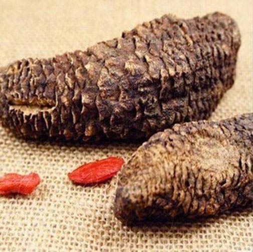 cistanche tubulosa organic extract 5