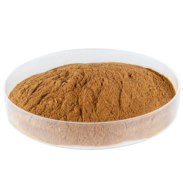 Cistanche Tubulosa Extract (Verbascoside 9%min)