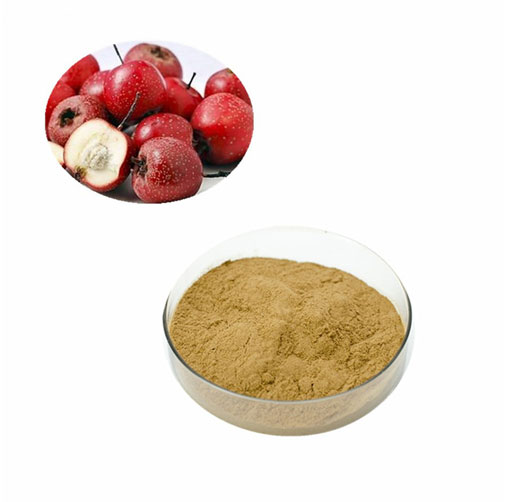 Crataegus Extract