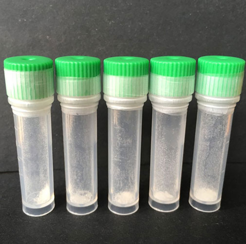 dipeptide diaminobutyroyl 1