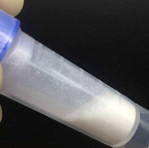 dipeptide diaminobutyroyl 2