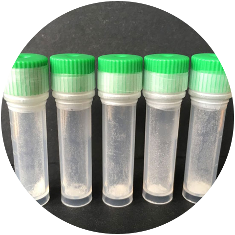 Applications of Dipeptide Diaminobutyroyl