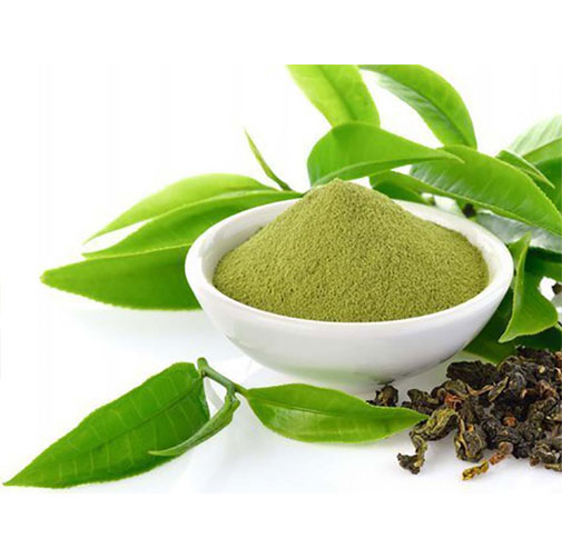 Egcg Green Tea Extract
