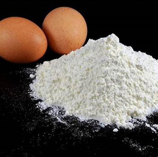 egg white protein