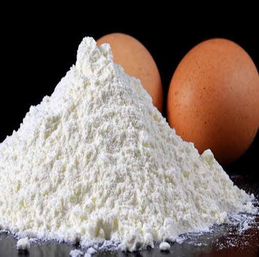 egg