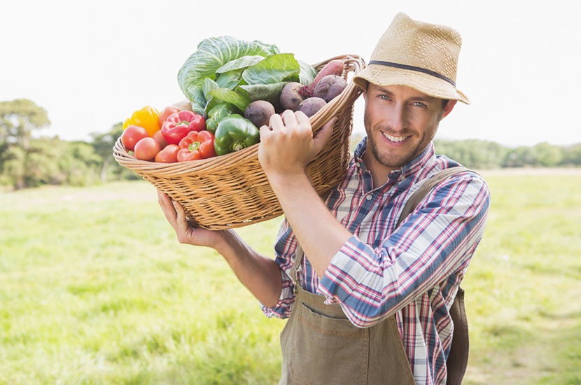 Vitamins Powder Wholesale And Minerals for Men