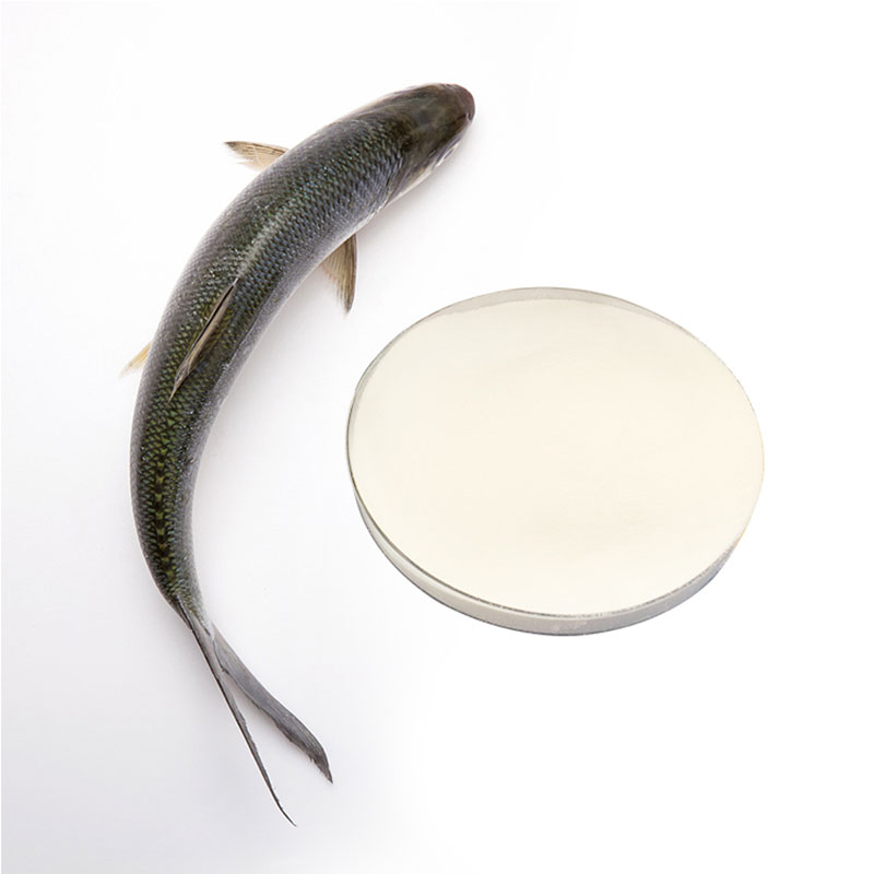 Fish Collagen Peptide
