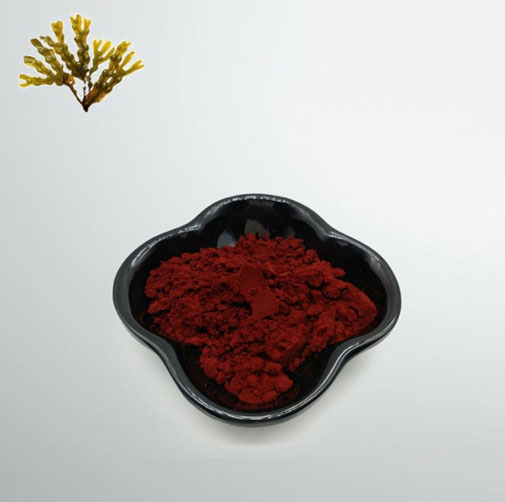 CAS No.: 3351-86-8 Fucoxanthin Powder