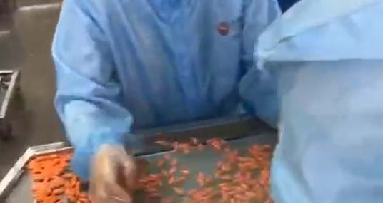 Gihi Chemicals Dietary Supplements Capsules Production OEM