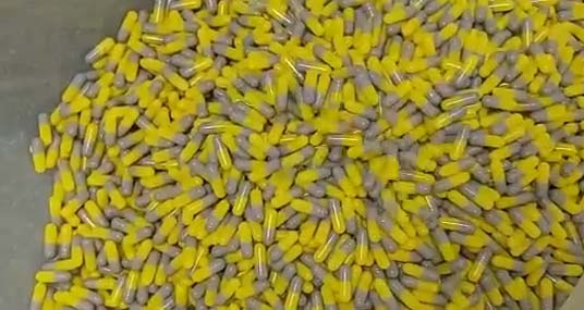 Gihi Chemicals Dietary Supplements Hard Capsules OEM