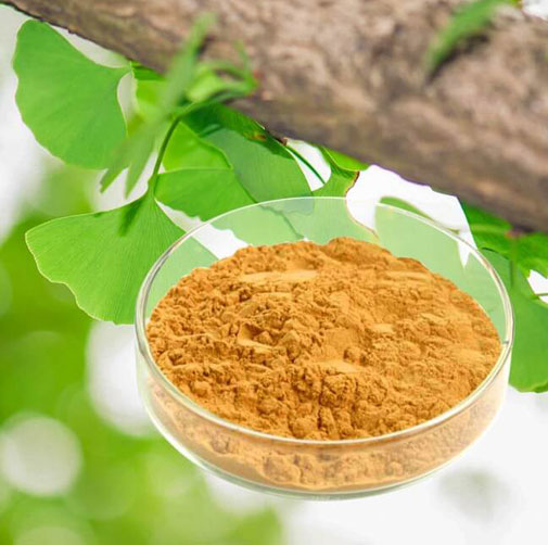 Ginkgo Biloba Leaf Extract