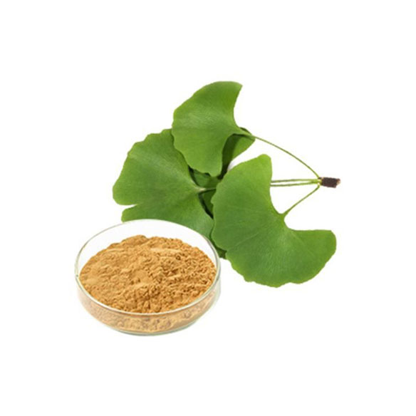 Ginseng Ginkgo Biloba Extract