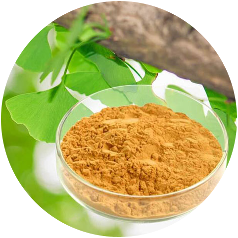 Functions of Ginkgo Biloba Extract
