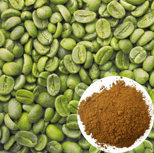 Green Coffee Extract