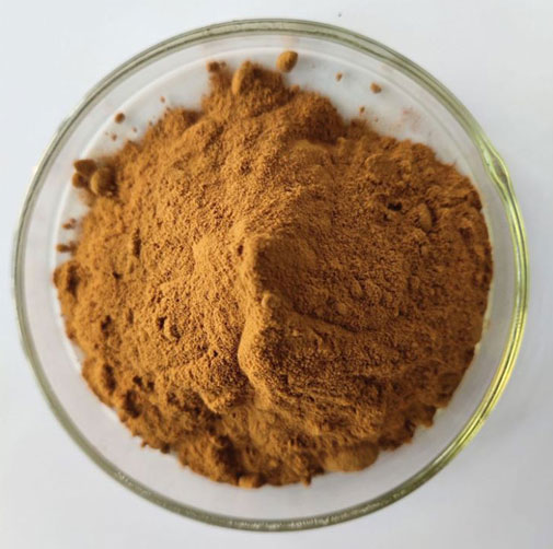 Green Tea Extract Supplement