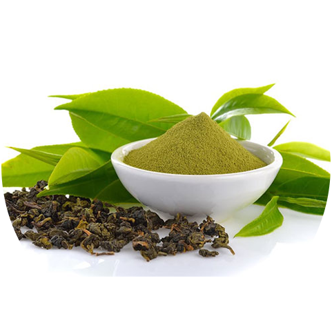 Science-Based Benefits of Green Tea Extract
