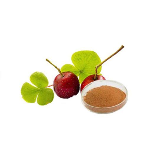 Hawthorn Berry Extract