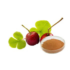 Hawthorn Extract 