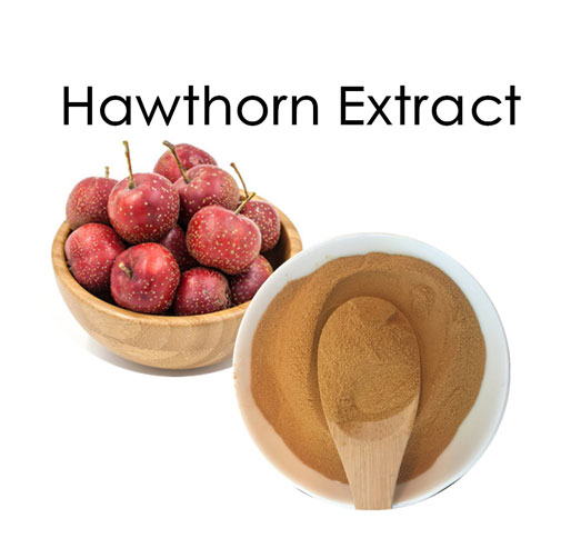 Hawthorn Solid Extract