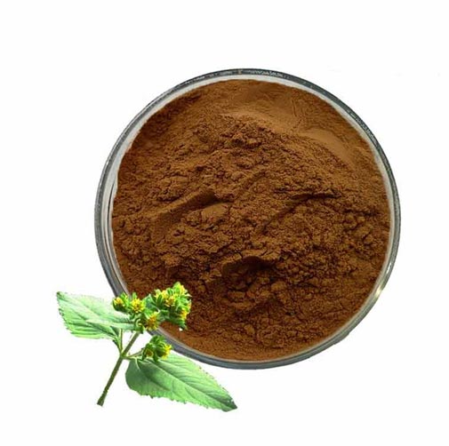 Herba Siegesbeckia, Pig Pungent Weed Extract