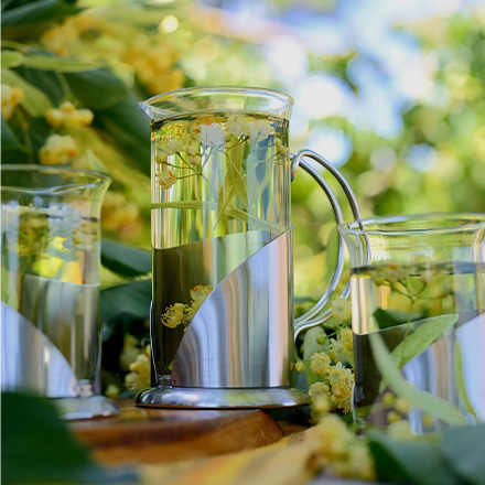 Herbs Extracts