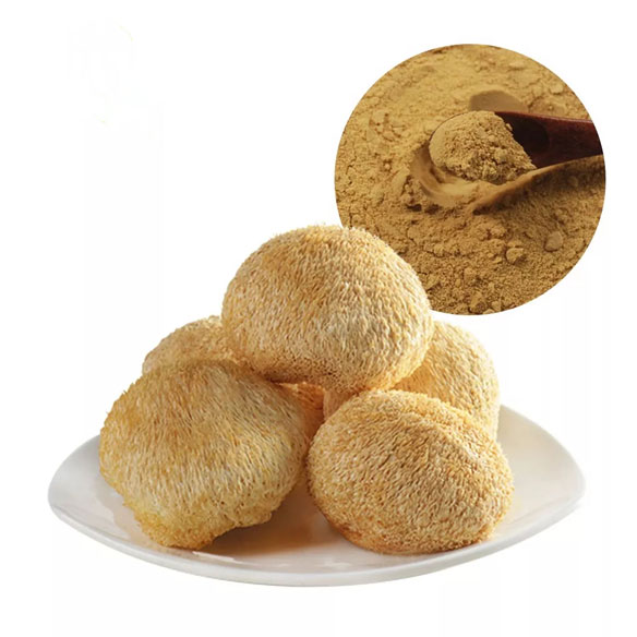 Hericium Erinaceus Extract