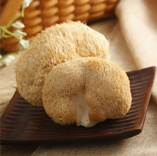 Hericium Erinaceus Mushroom Extract