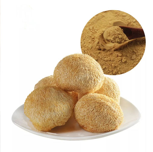 Hericium Erinaceus Mushroom Extract