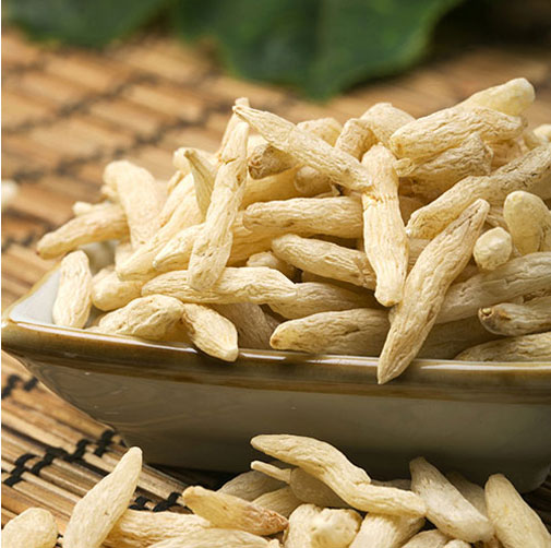 japonicus root extract