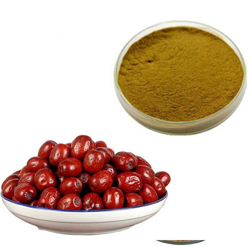 jujube extract benefits