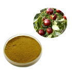 Jujube Extract 